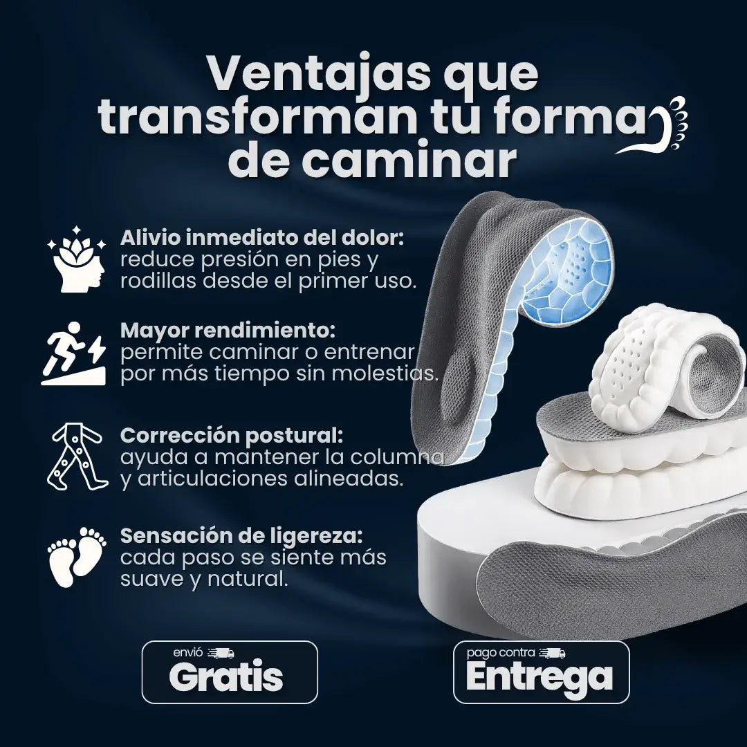 Encabezado